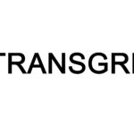 Logo Fundacji Transgresja. Abstrakcyjny rysunek symbolizujący przekraczanie różnych granic.